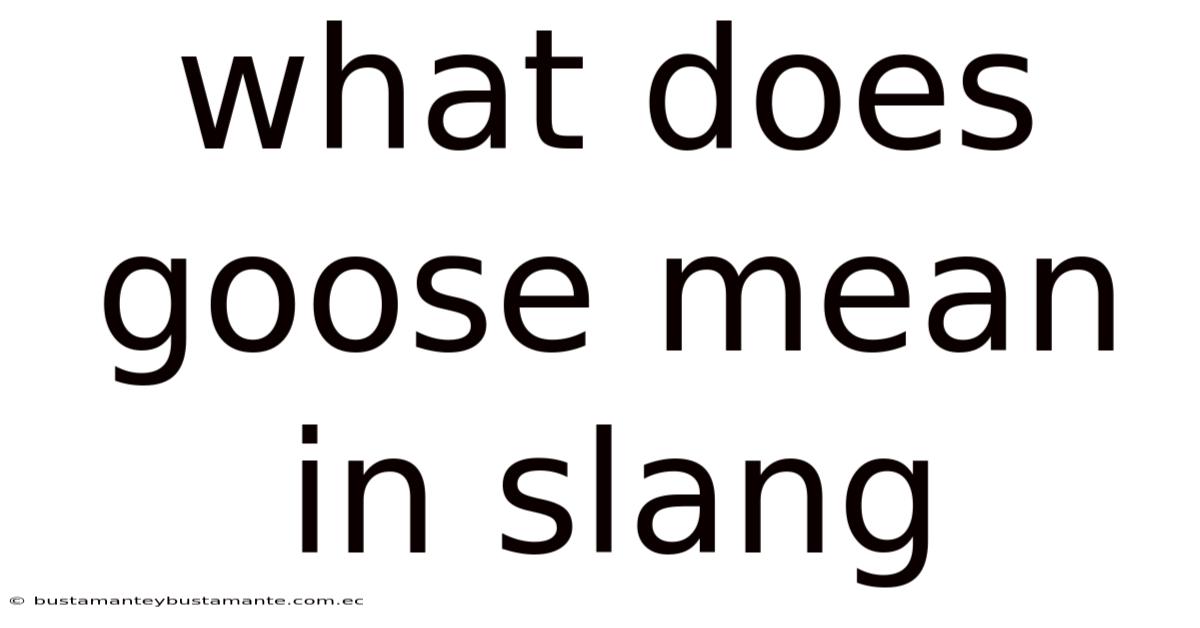 What Does Goose Mean In Slang