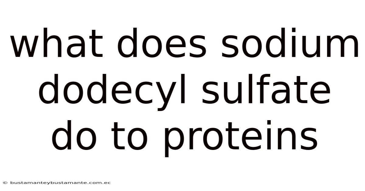 What Does Sodium Dodecyl Sulfate Do To Proteins
