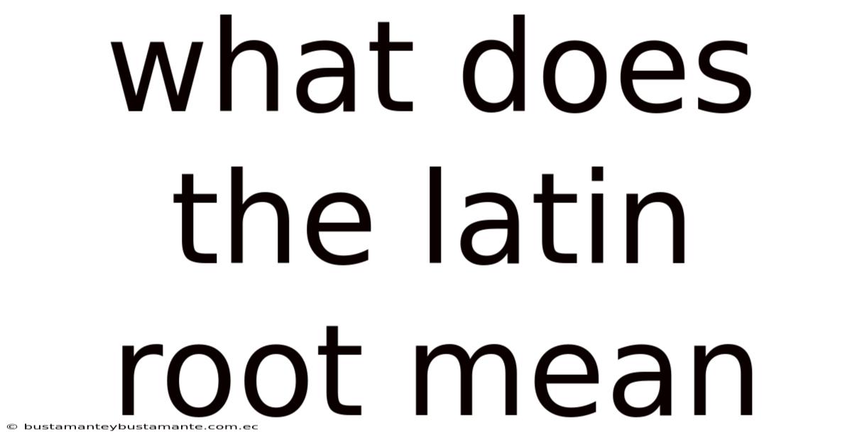 What Does The Latin Root Mean