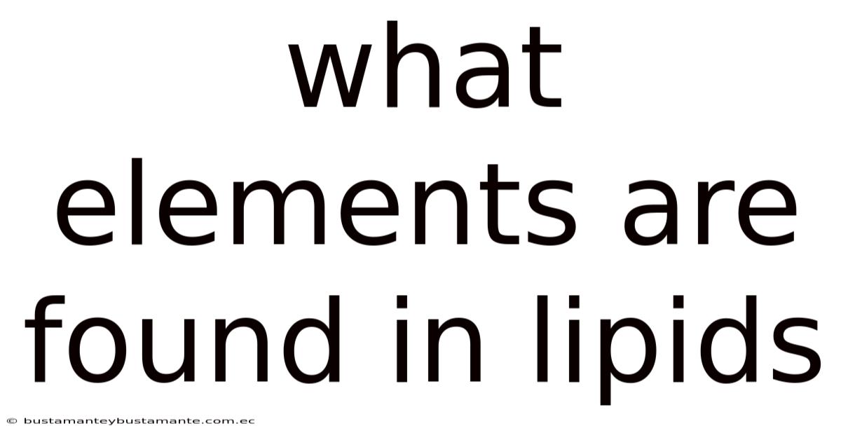 What Elements Are Found In Lipids
