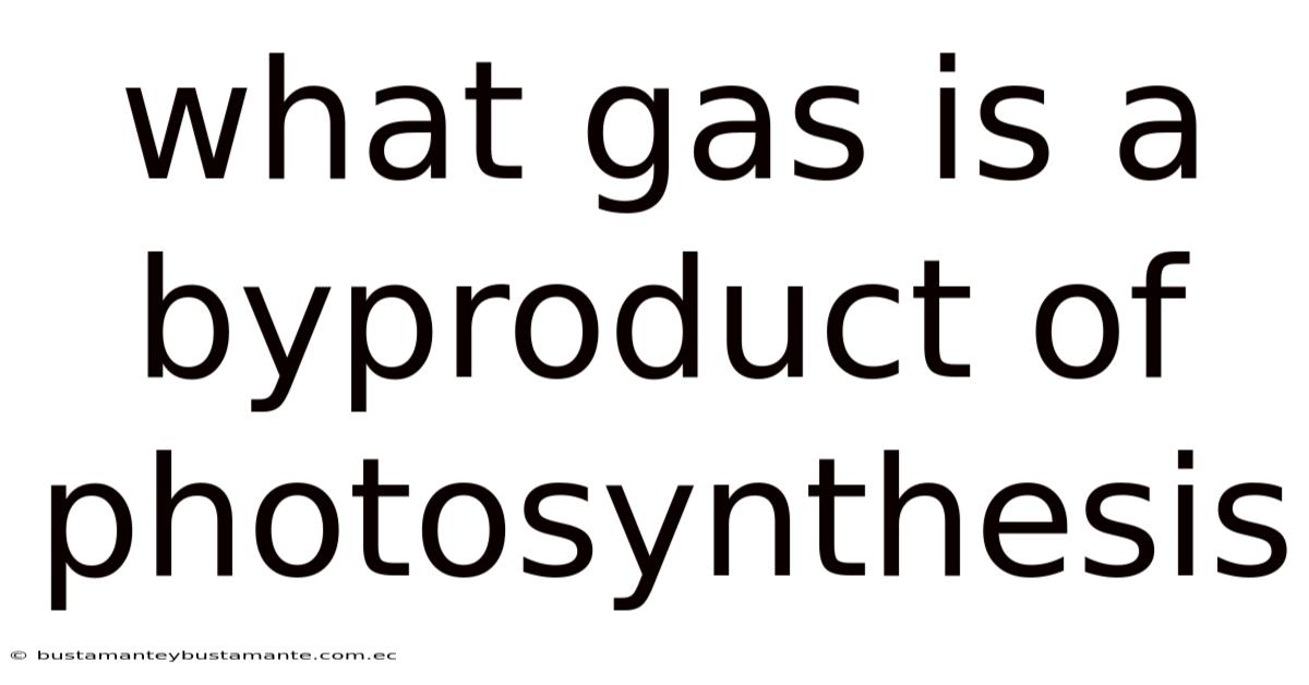 What Gas Is A Byproduct Of Photosynthesis
