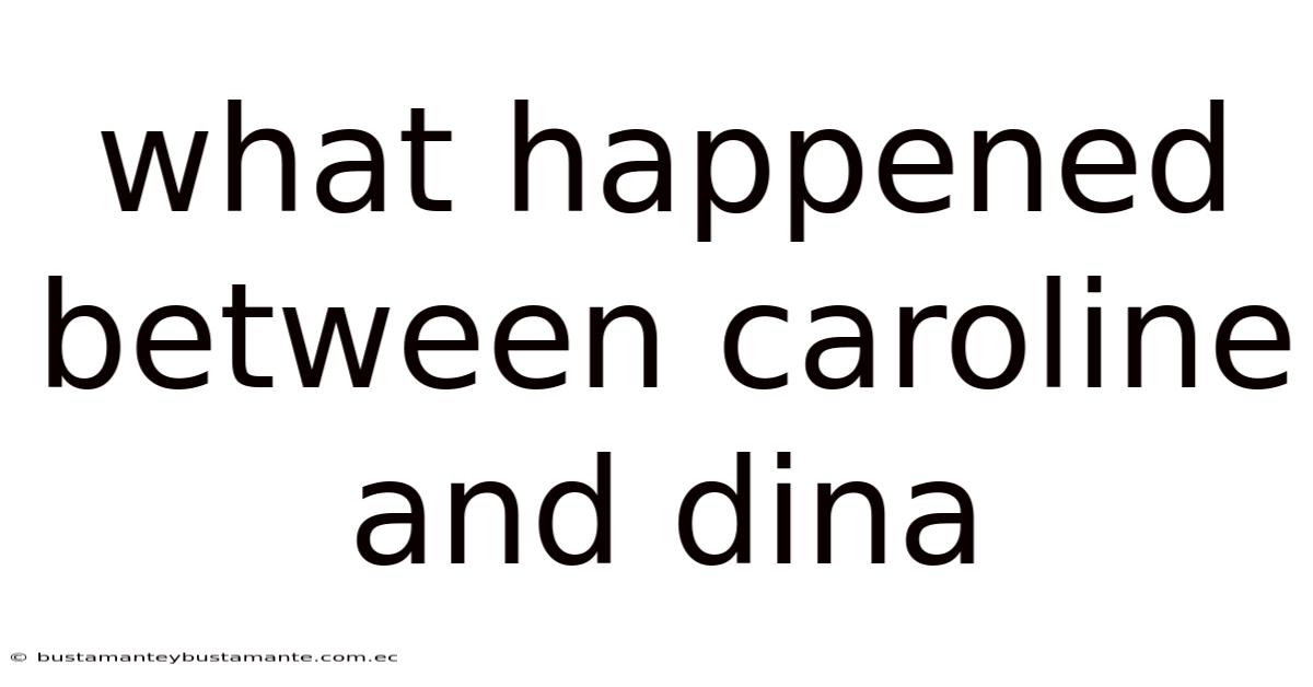 What Happened Between Caroline And Dina