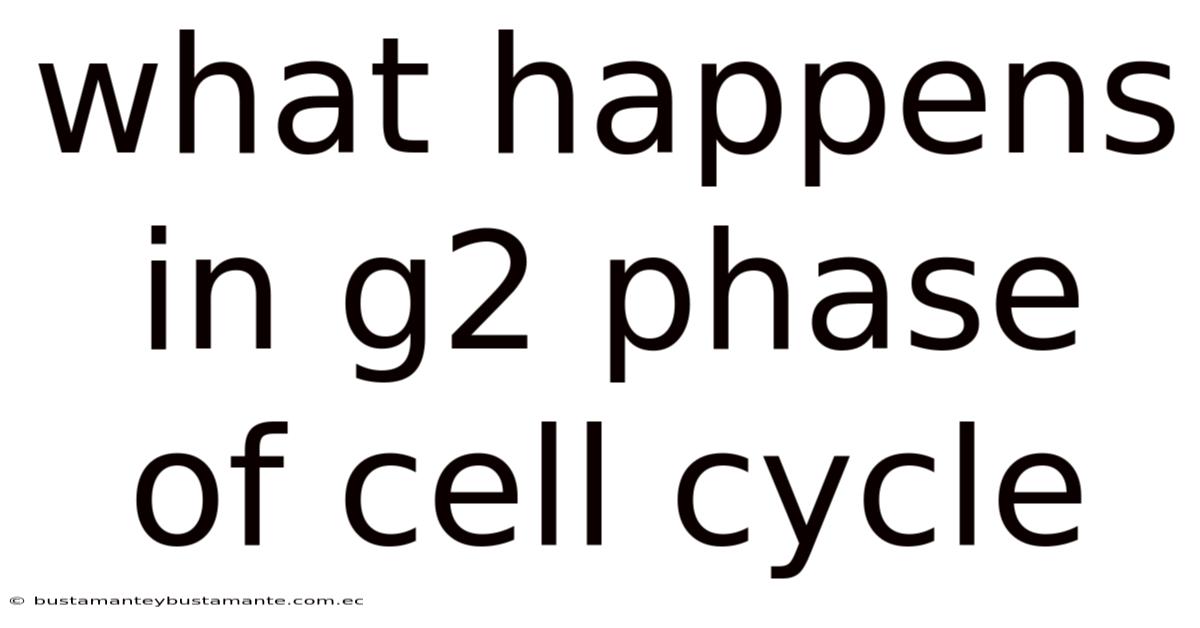 What Happens In G2 Phase Of Cell Cycle