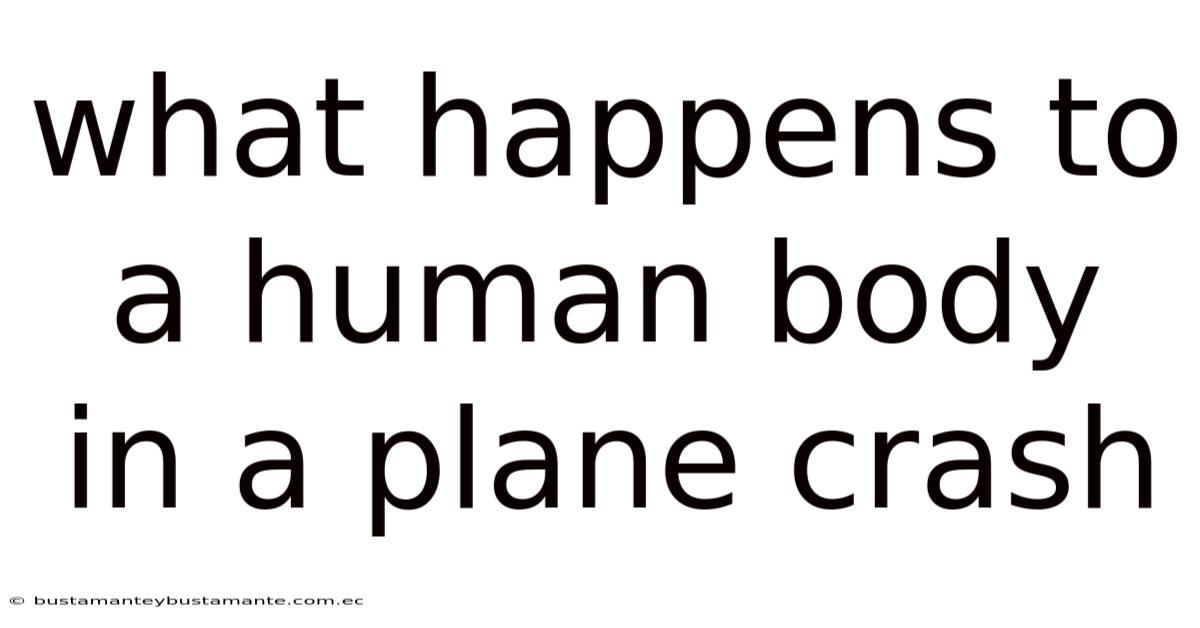 What Happens To A Human Body In A Plane Crash