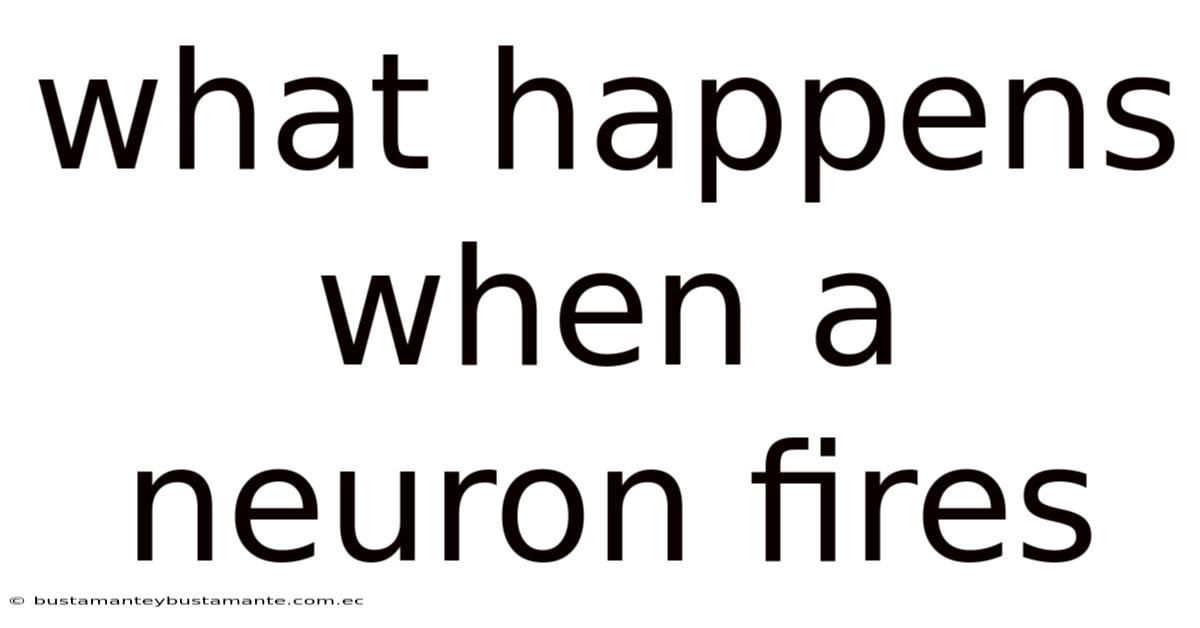 What Happens When A Neuron Fires