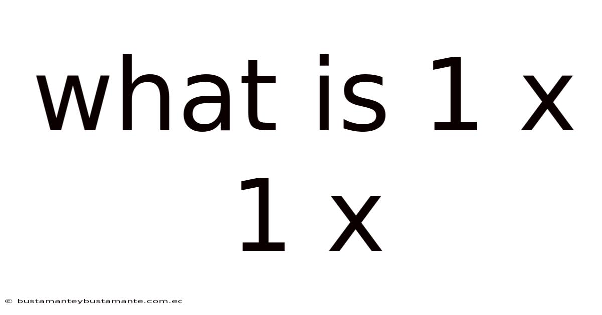 What Is 1 X 1 X