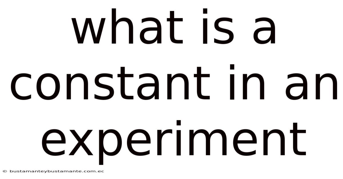 What Is A Constant In An Experiment