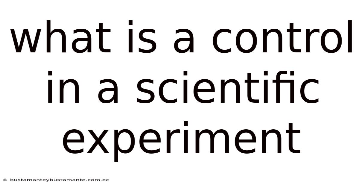 What Is A Control In A Scientific Experiment