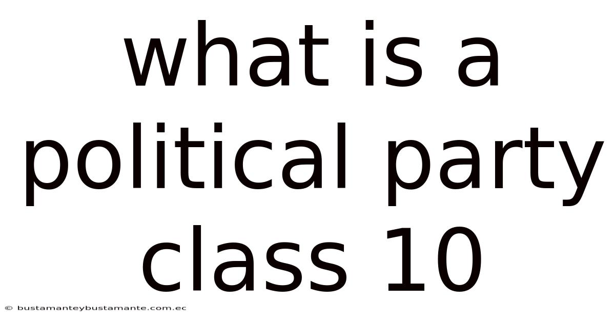 What Is A Political Party Class 10