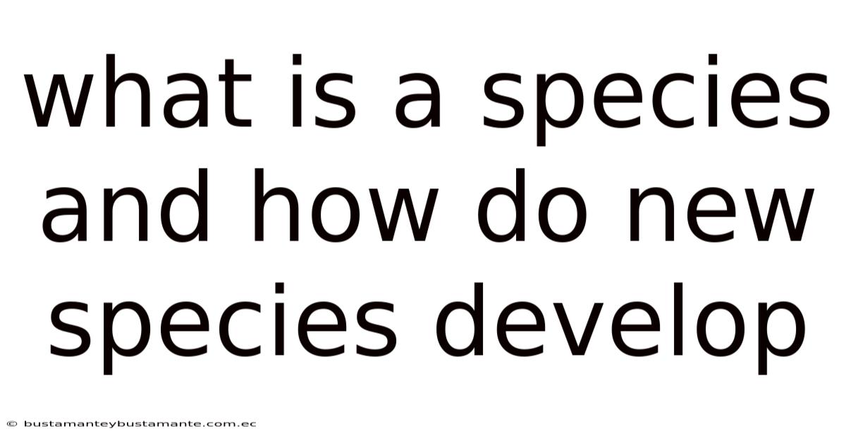 What Is A Species And How Do New Species Develop