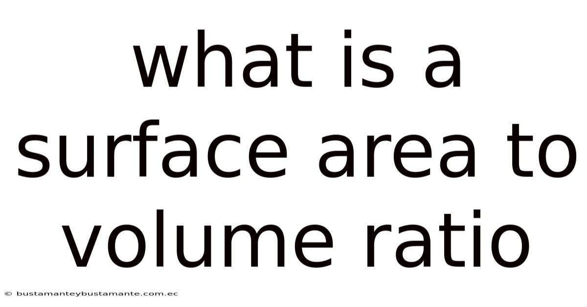 What Is A Surface Area To Volume Ratio