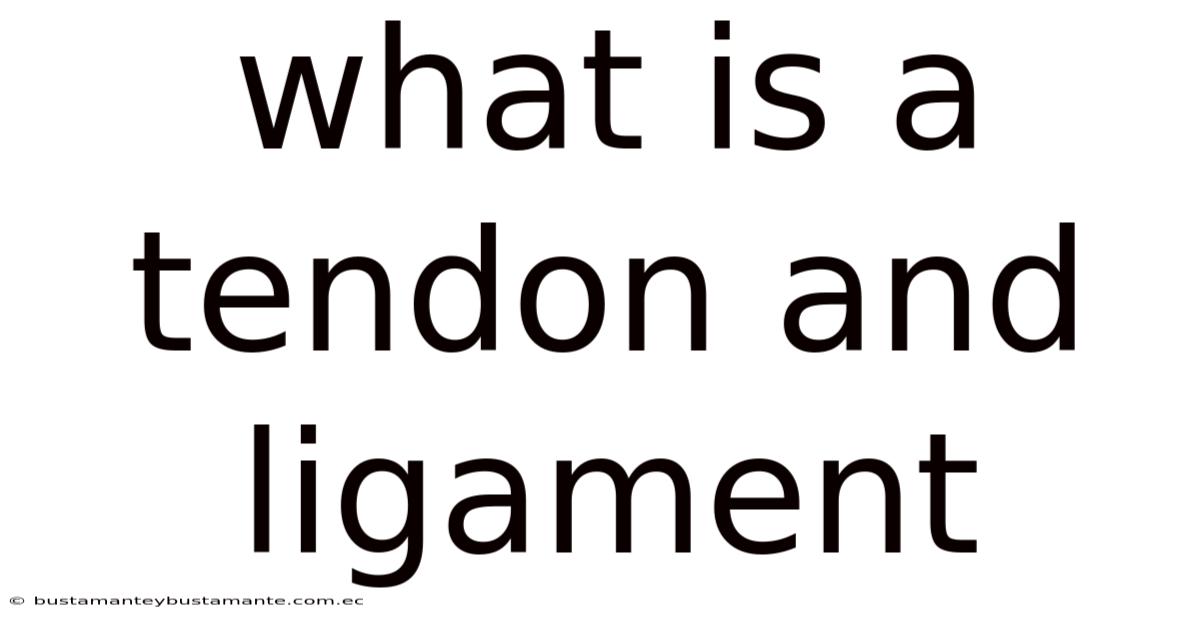 What Is A Tendon And Ligament