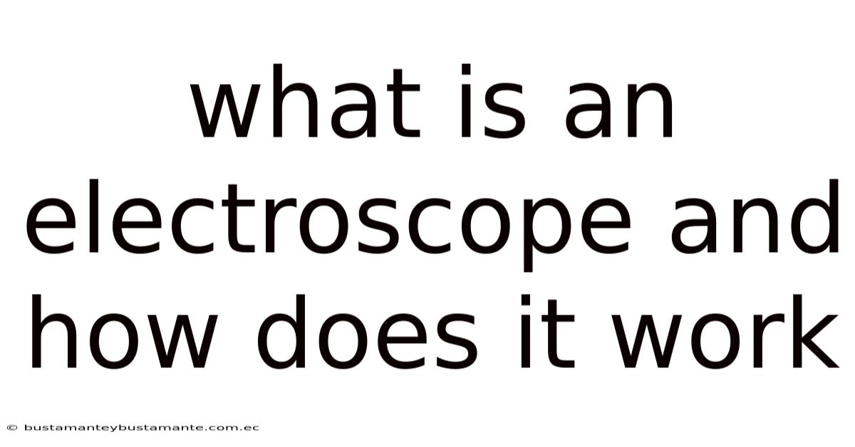 What Is An Electroscope And How Does It Work