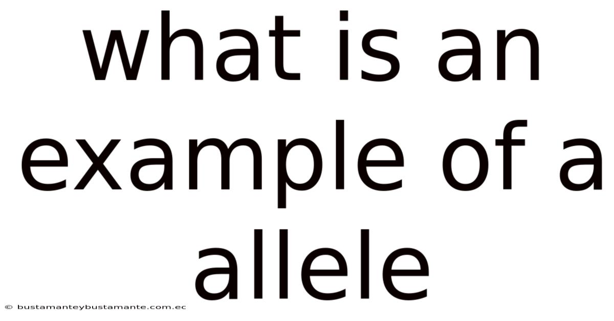 What Is An Example Of A Allele