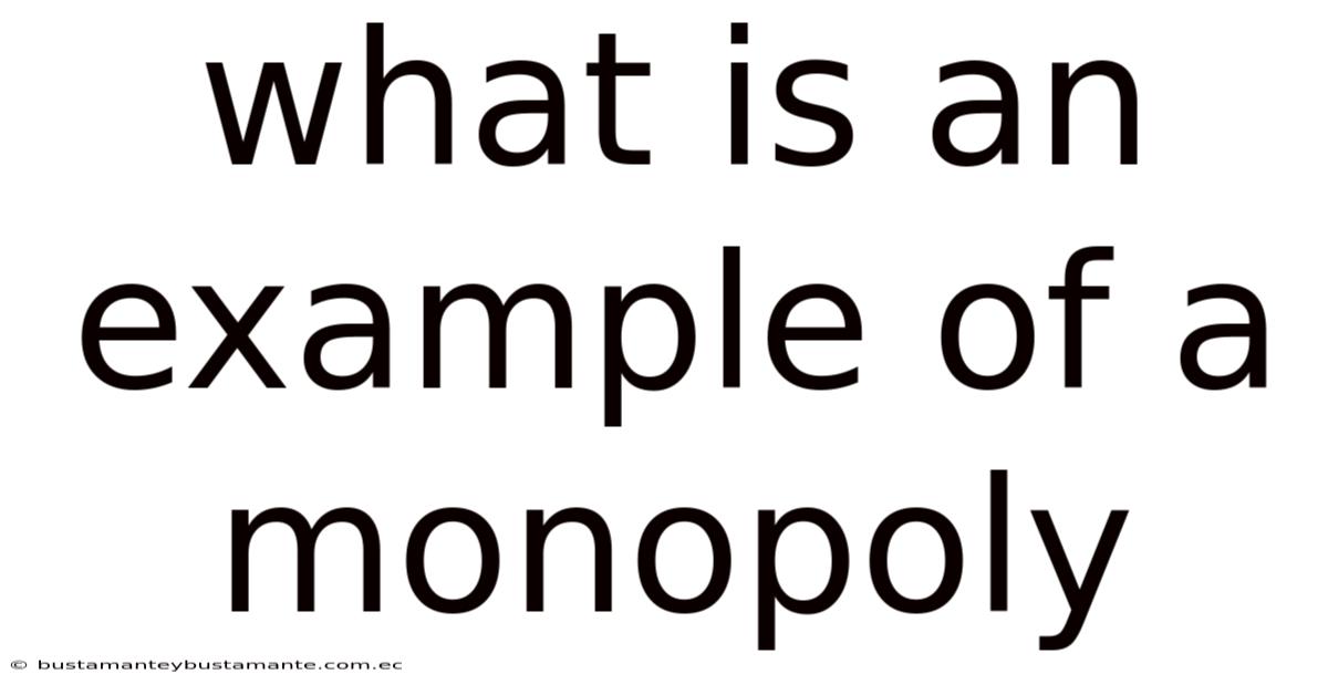 What Is An Example Of A Monopoly