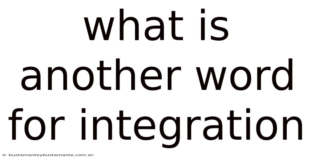 What Is Another Word For Integration