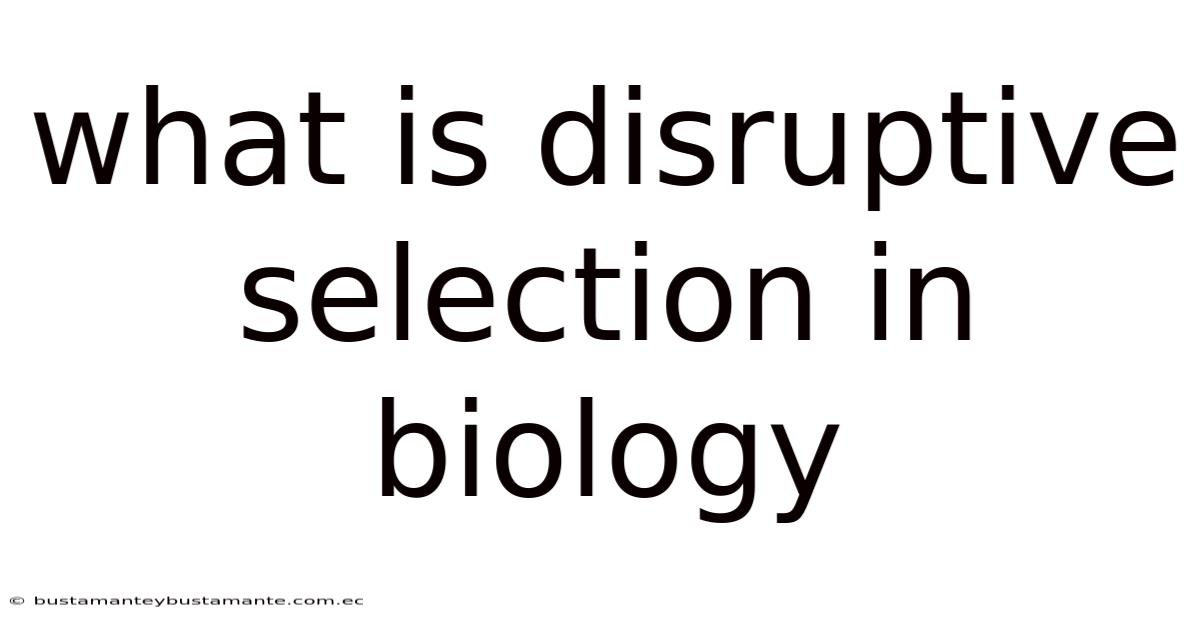 What Is Disruptive Selection In Biology