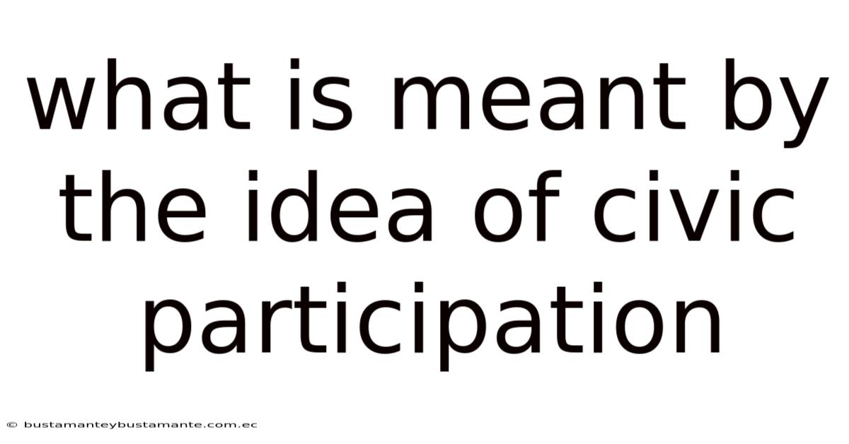 What Is Meant By The Idea Of Civic Participation