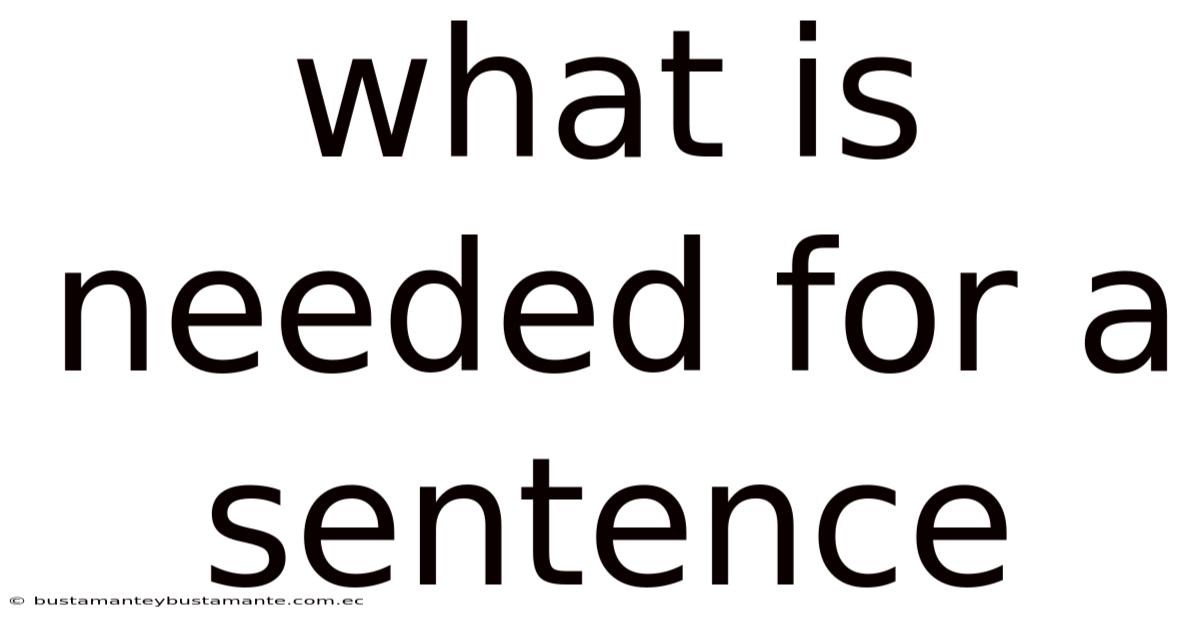 What Is Needed For A Sentence