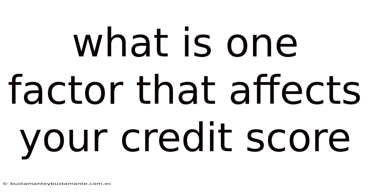 What Is One Factor That Affects Your Credit Score