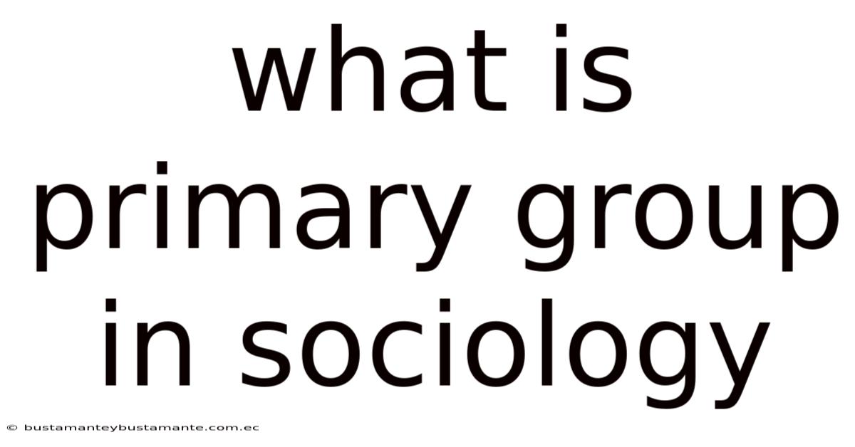 What Is Primary Group In Sociology