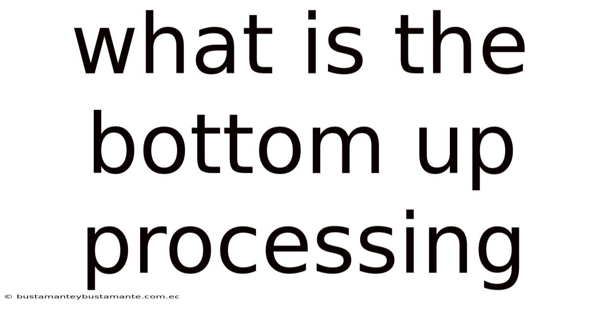 What Is The Bottom Up Processing