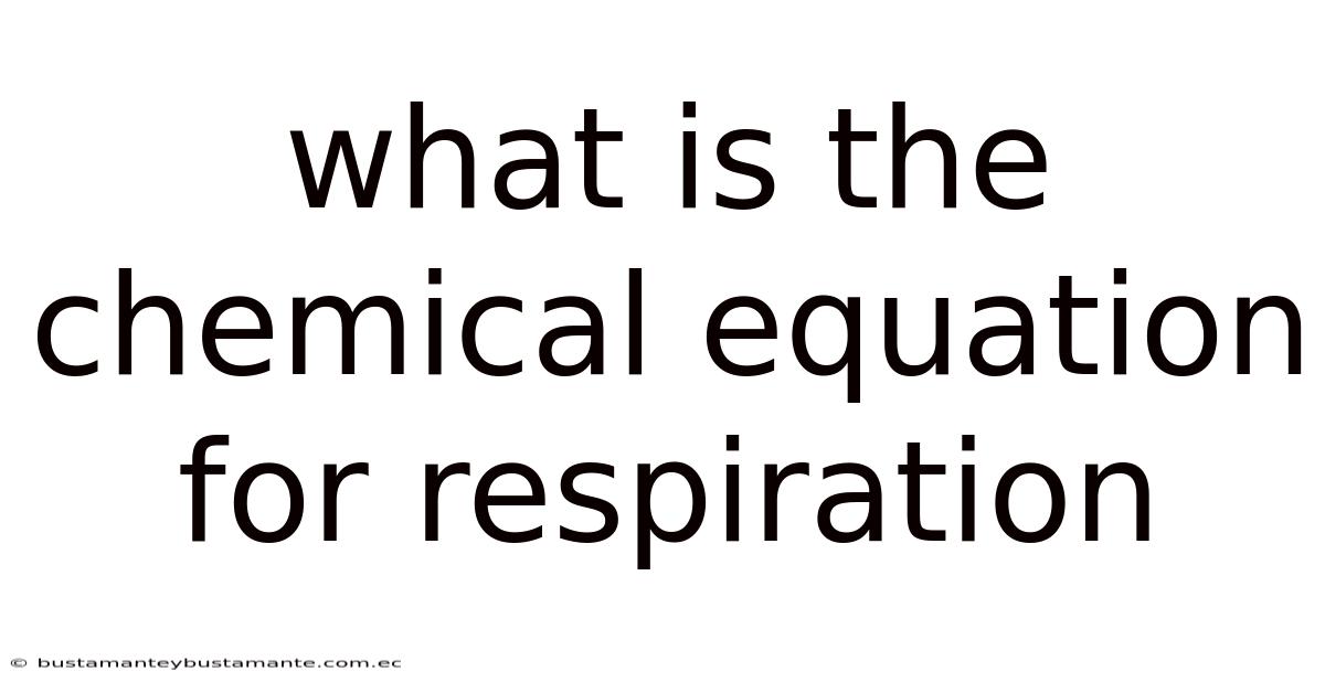 What Is The Chemical Equation For Respiration