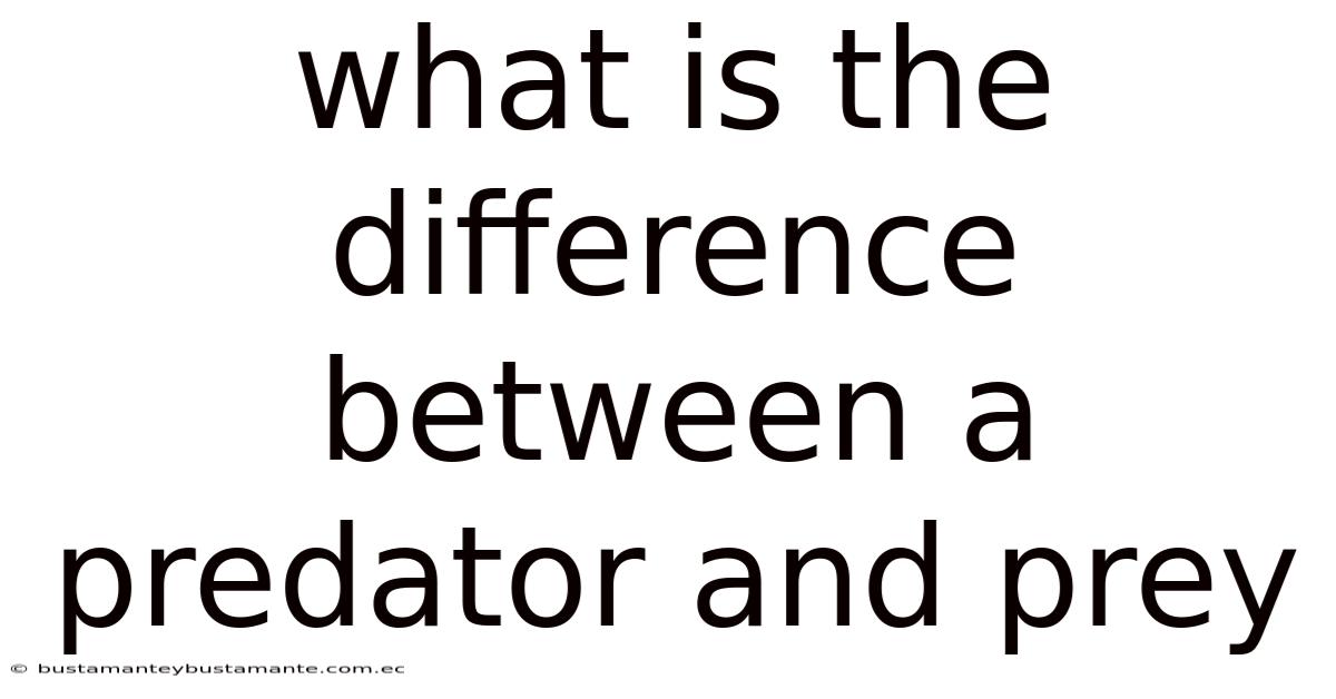 What Is The Difference Between A Predator And Prey