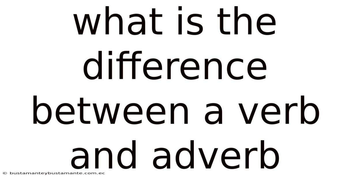 What Is The Difference Between A Verb And Adverb
