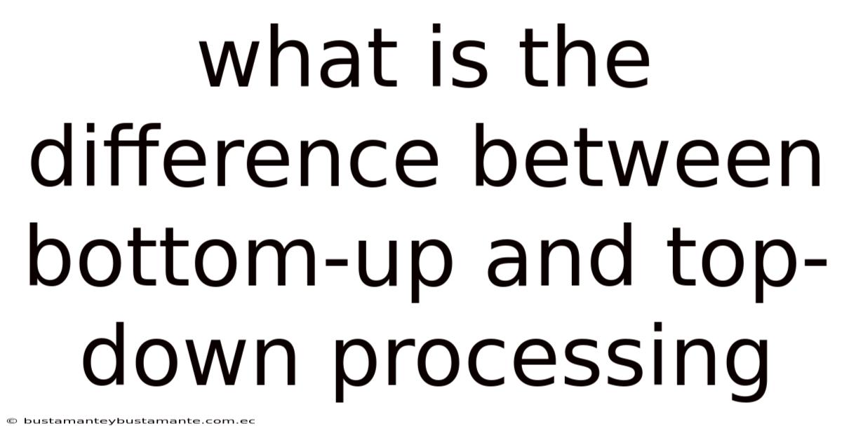 What Is The Difference Between Bottom-up And Top-down Processing