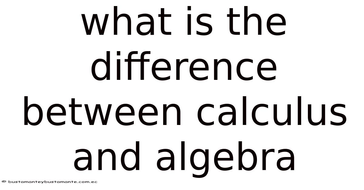 Difference In Algebra What Is The Difference Between Calculus And Algebra