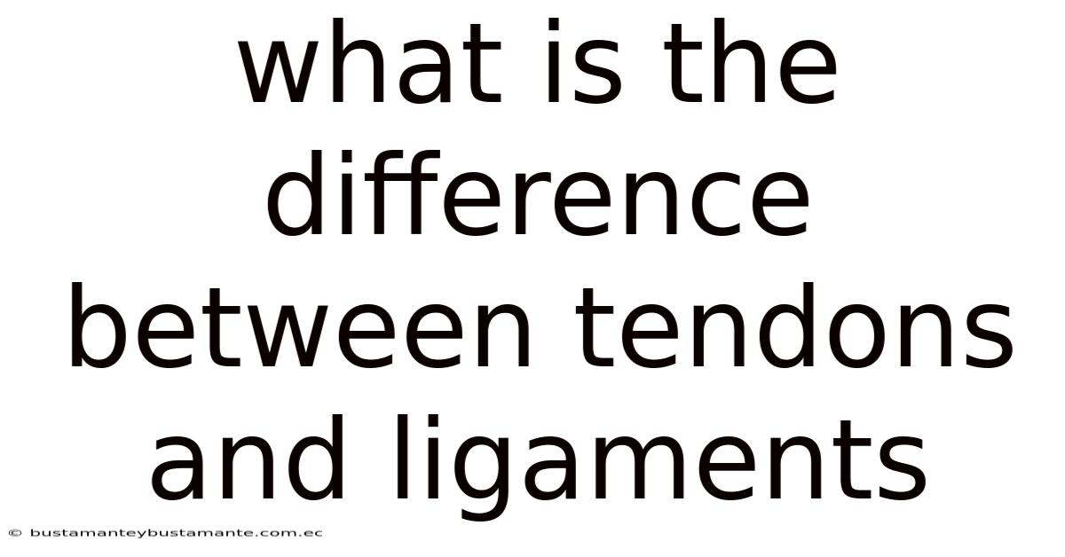 What Is The Difference Between Tendons And Ligaments