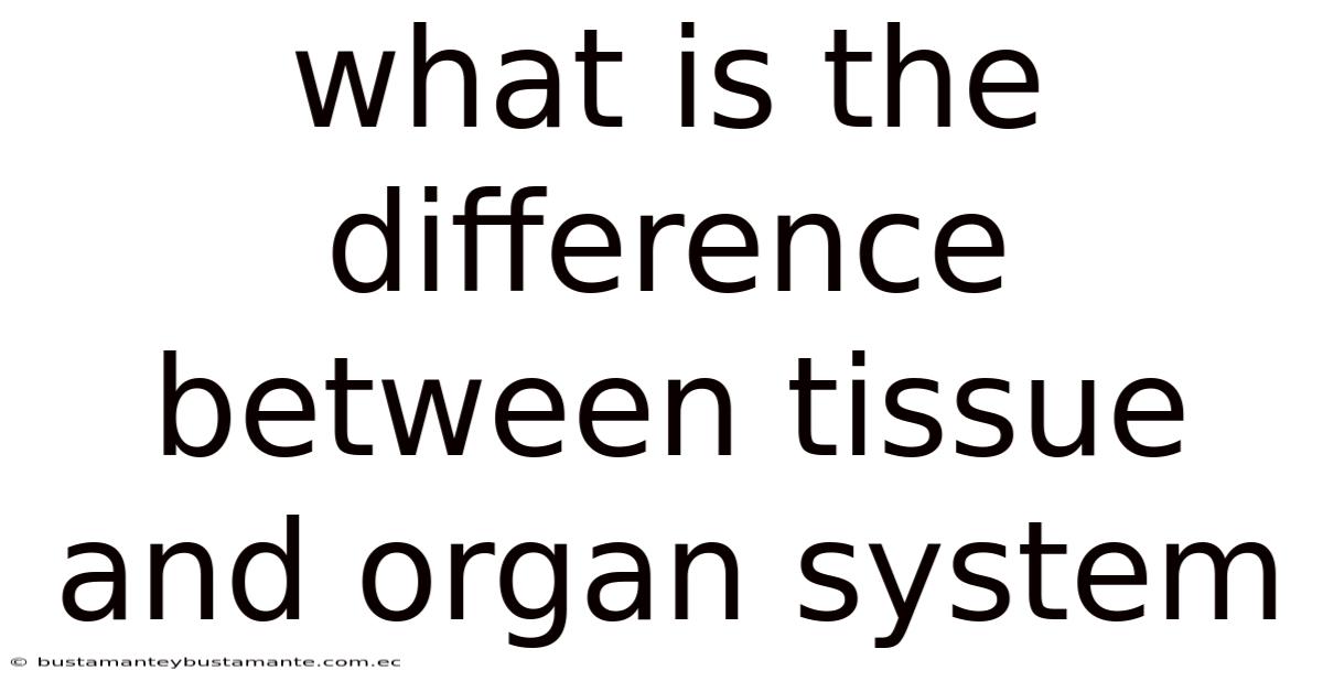 What Is The Difference Between Tissue And Organ System