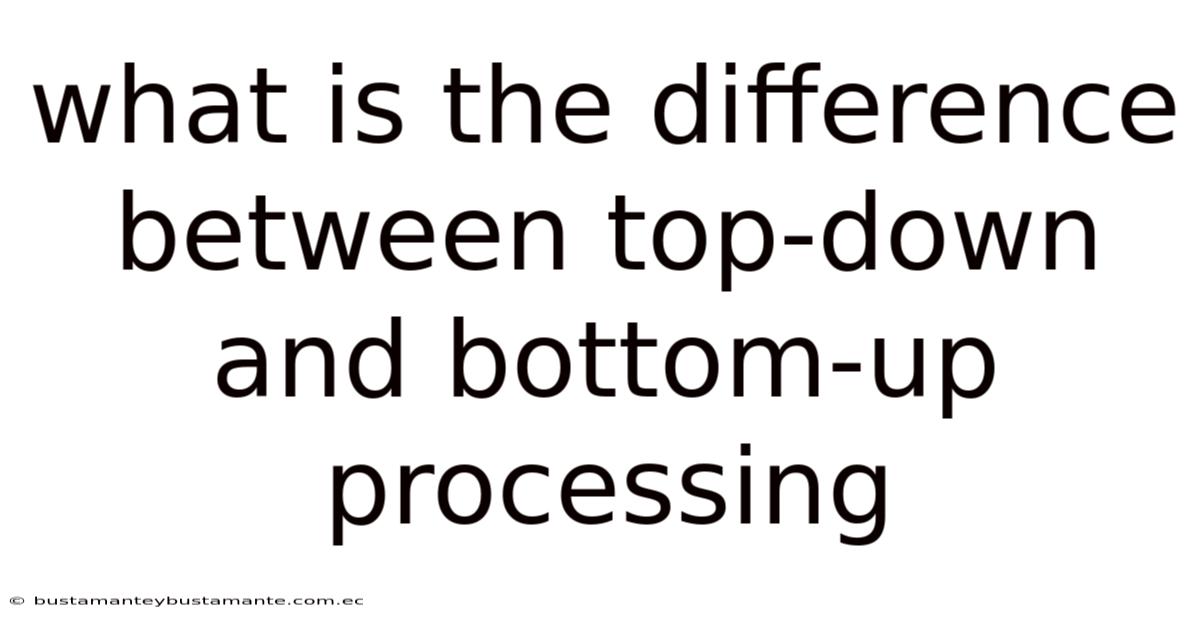 What Is The Difference Between Top-down And Bottom-up Processing