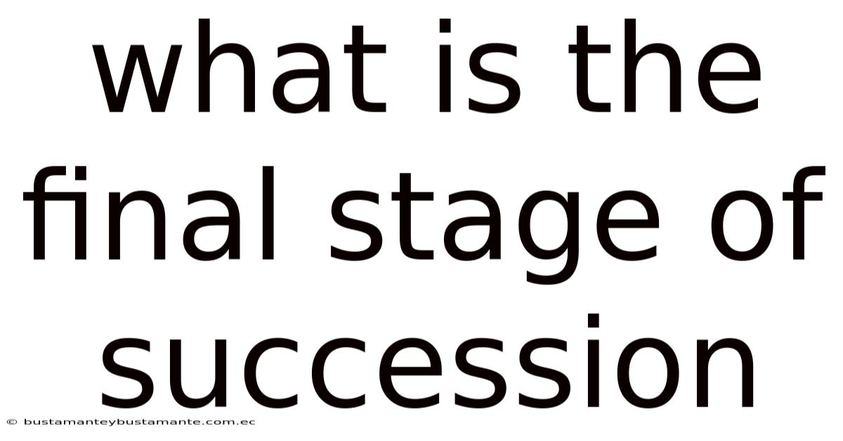 What Is The Final Stage Of Succession