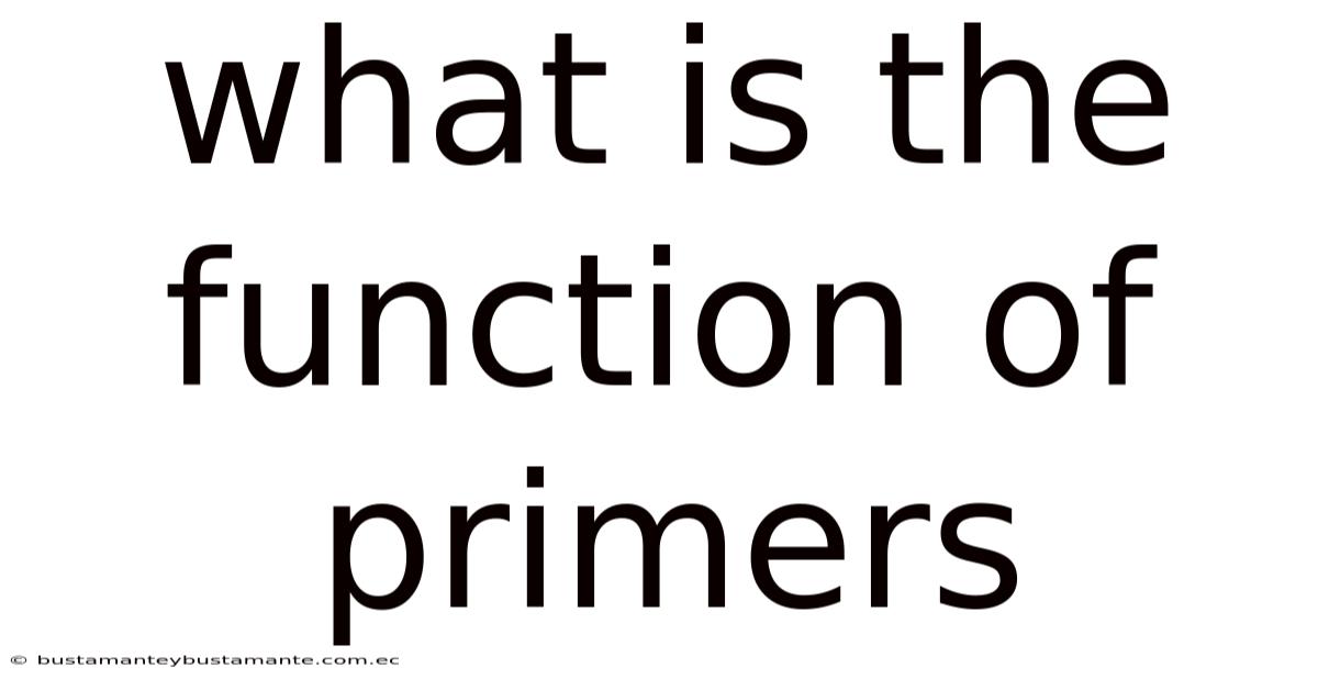 What Is The Function Of Primers