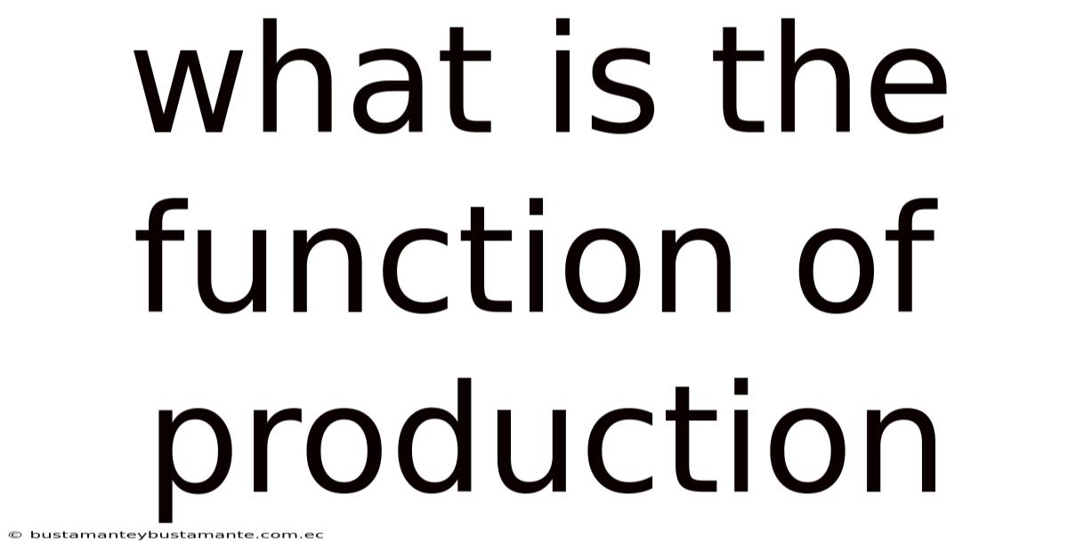 What Is The Function Of Production
