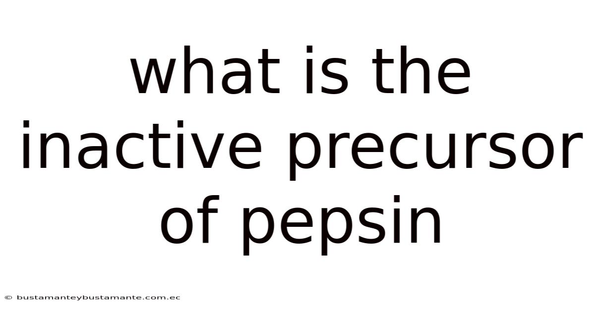 What Is The Inactive Precursor Of Pepsin
