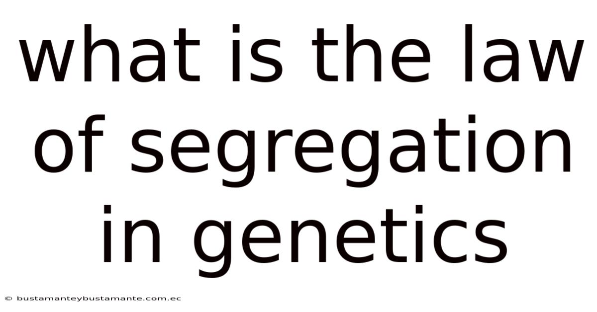 What Is The Law Of Segregation In Genetics