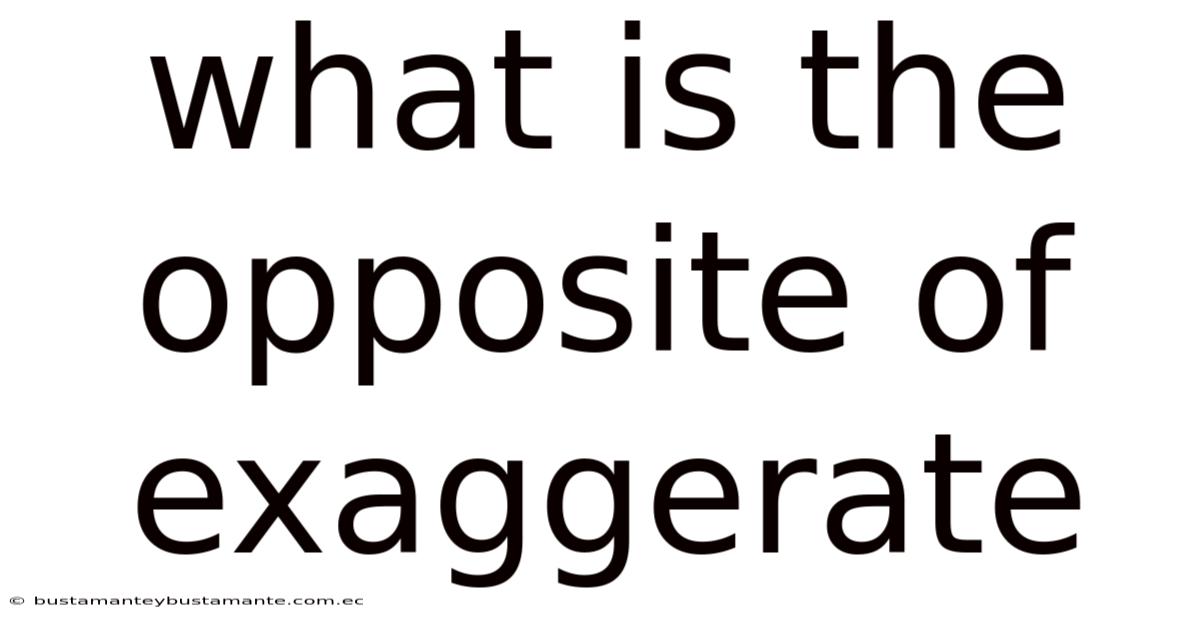 What Is The Opposite Of Exaggerate