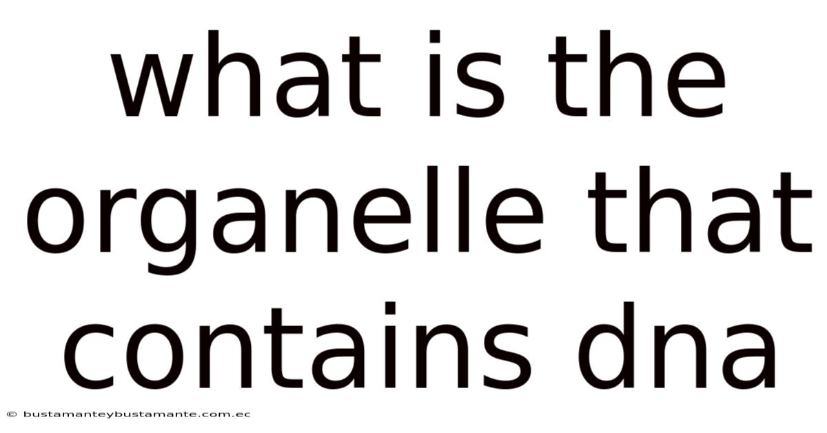What Is The Organelle That Contains Dna