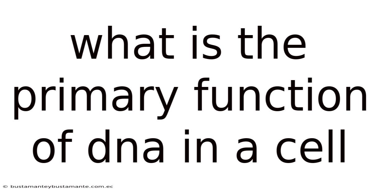 What Is The Primary Function Of Dna In A Cell