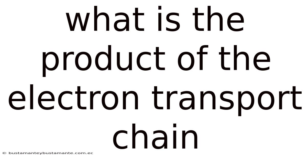 What Is The Product Of The Electron Transport Chain