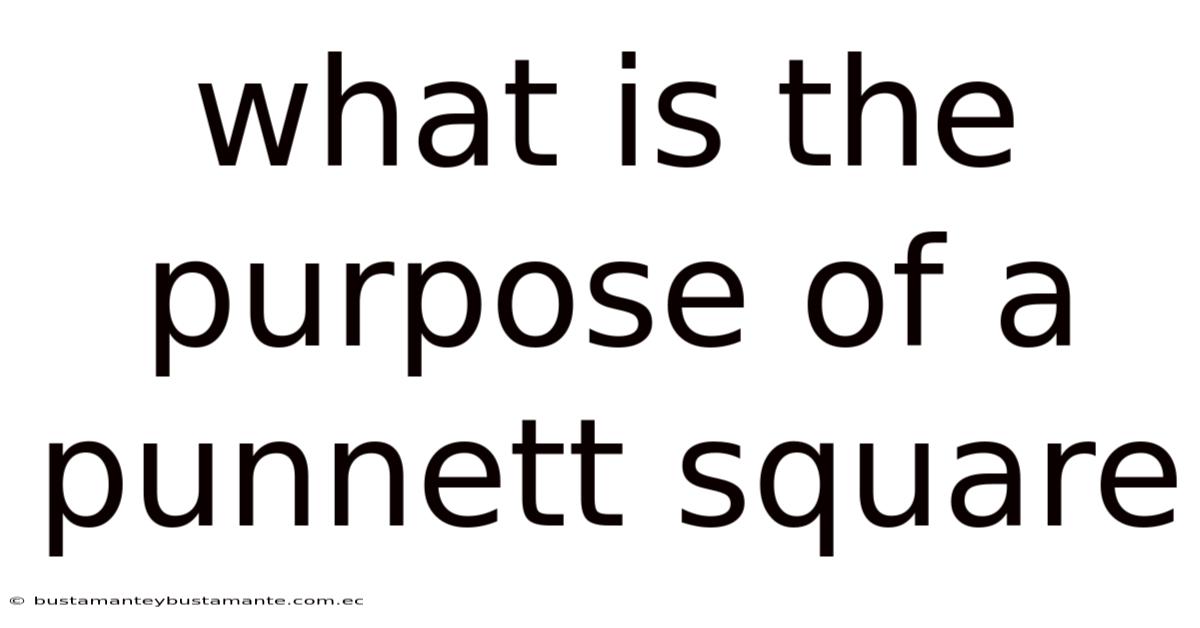 What Is The Purpose Of A Punnett Square