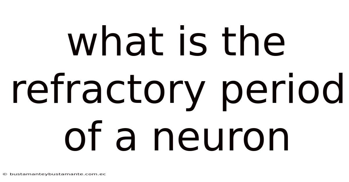 What Is The Refractory Period Of A Neuron