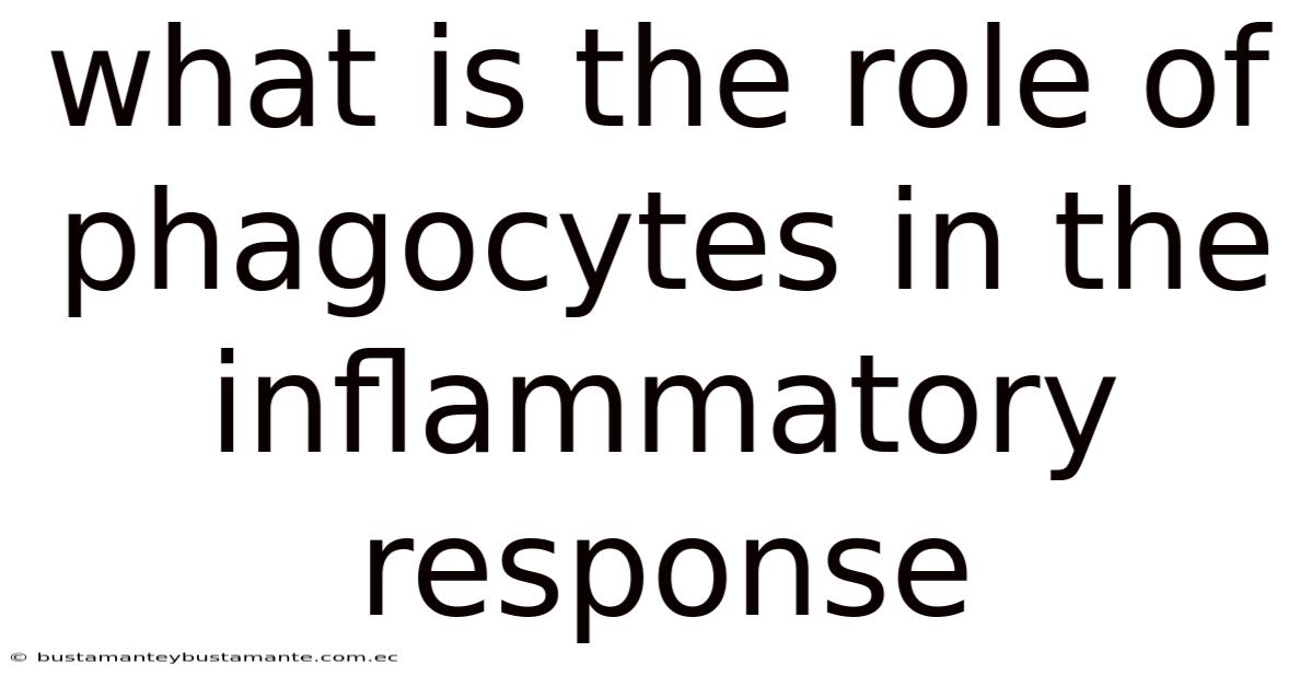 What Is The Role Of Phagocytes In The Inflammatory Response