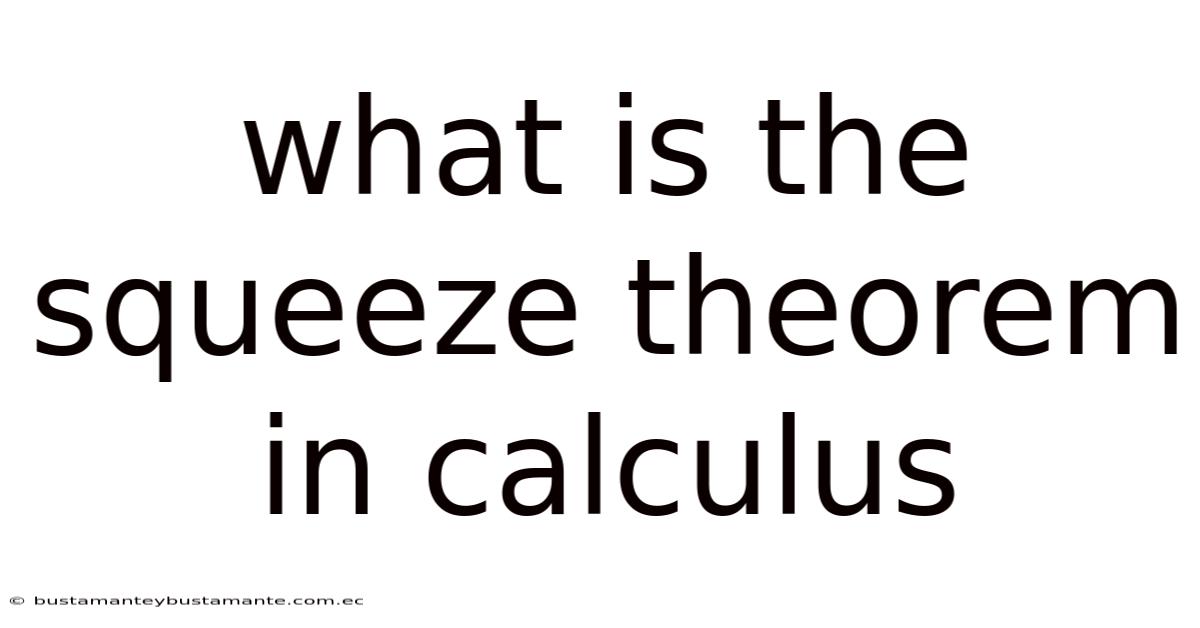 What Is The Squeeze Theorem In Calculus