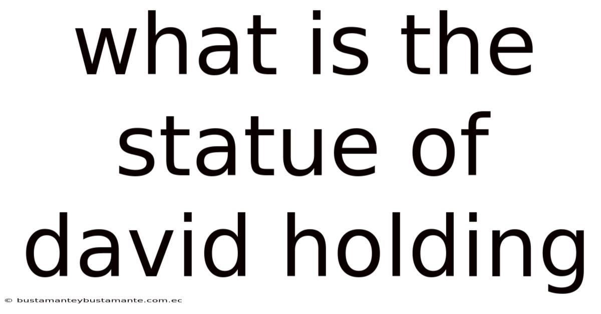 What Is The Statue Of David Holding