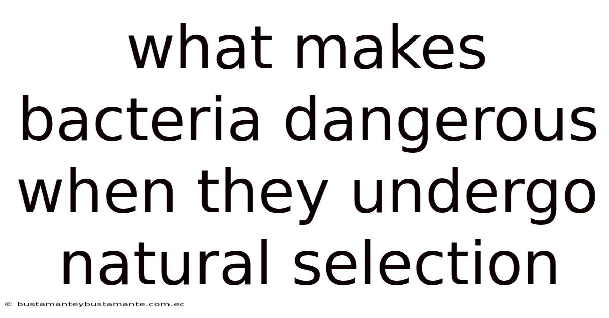 What Makes Bacteria Dangerous When They Undergo Natural Selection