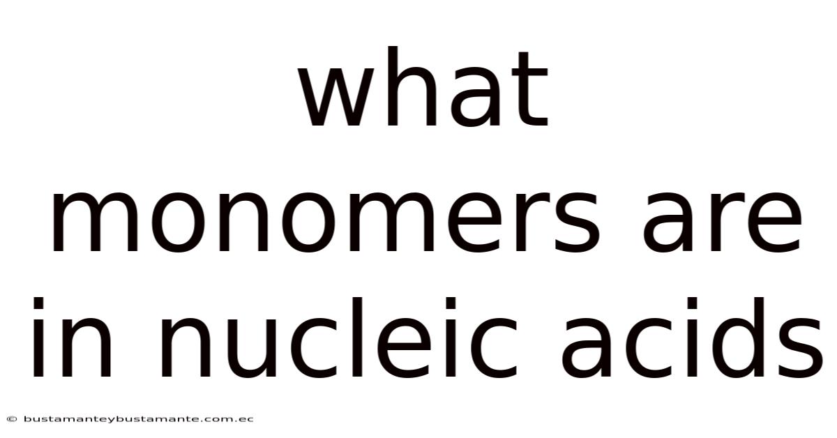 What Monomers Are In Nucleic Acids